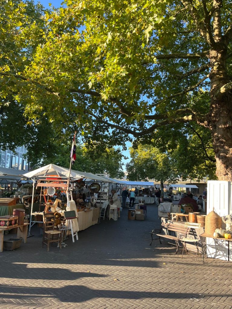 afbeelding van whatsapp op 2025 10 29 om 10.35.56 aeffa3bc